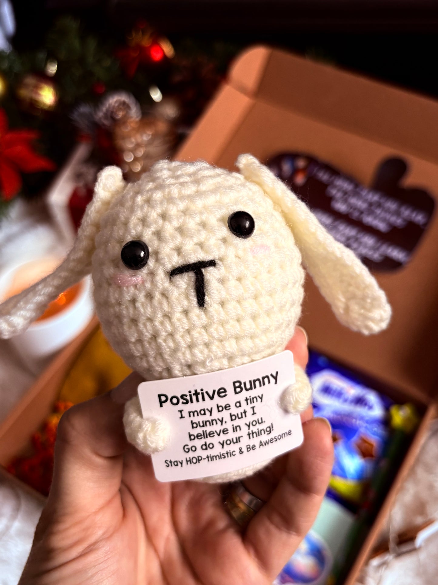 Children's Blind Date with a Book Gift Box | Novel, Plush, Socks